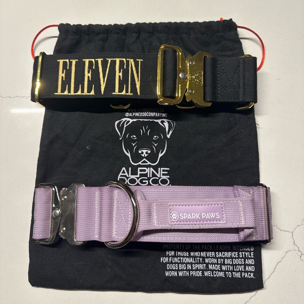 NEW 2 inch wide dog collars